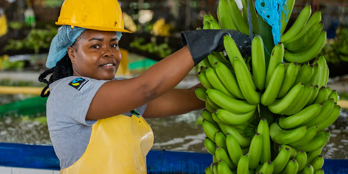 Fairtrade presenta la propria offerta per banane più sostenibili